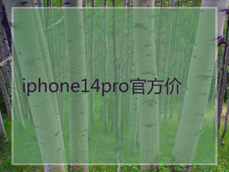 iphone14pro官方价