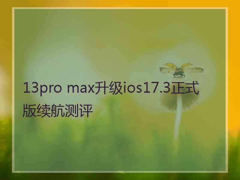 13pro max升级ios17.3正式版续航测评