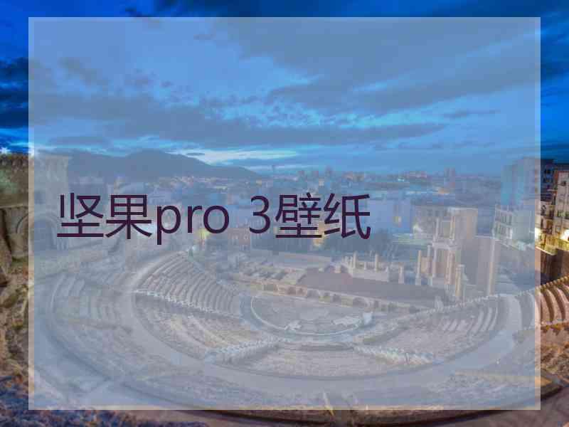 坚果pro 3壁纸