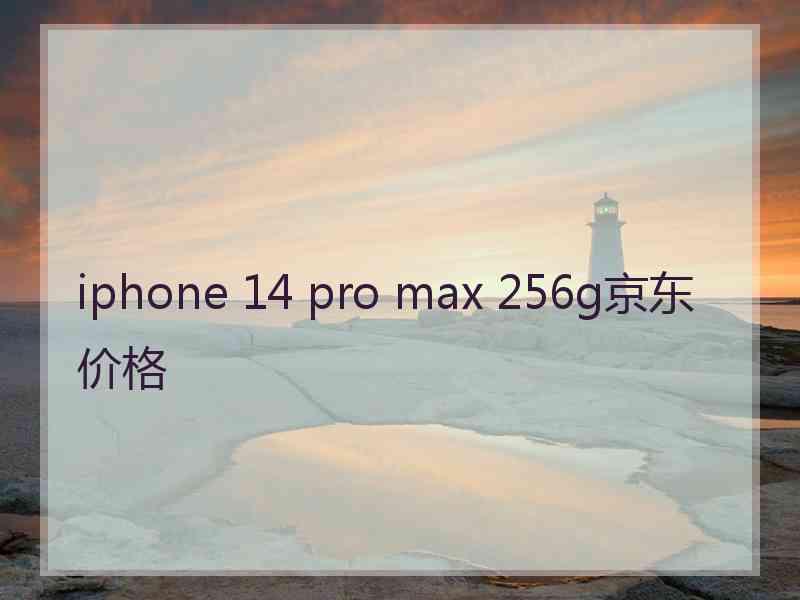 iphone 14 pro max 256g京东价格