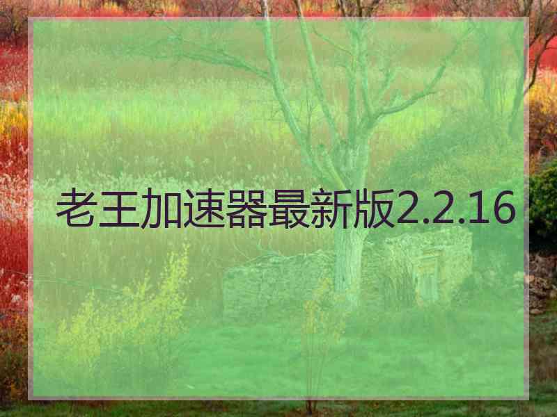 老王加速器最新版2.2.16