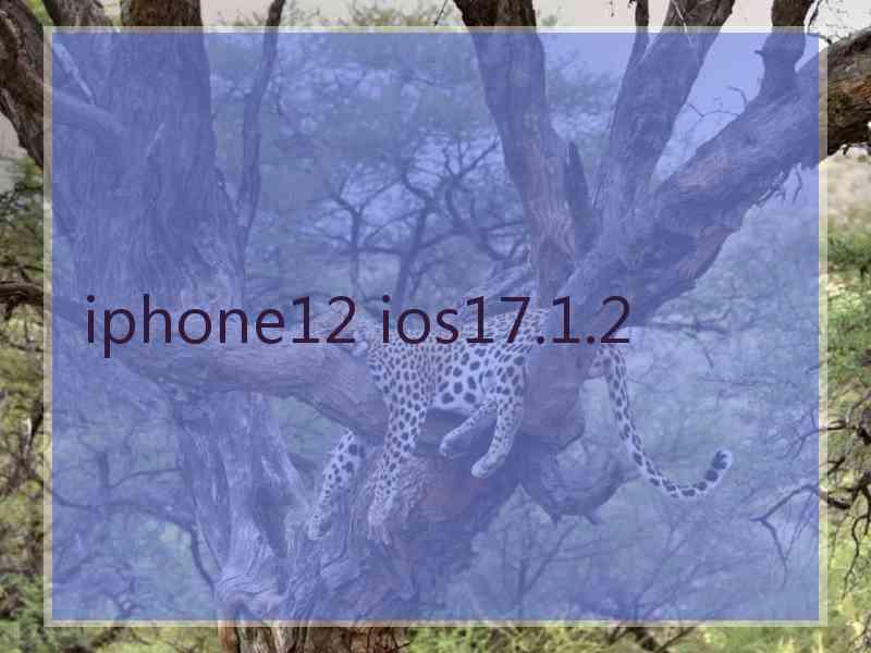 iphone12 ios17.1.2