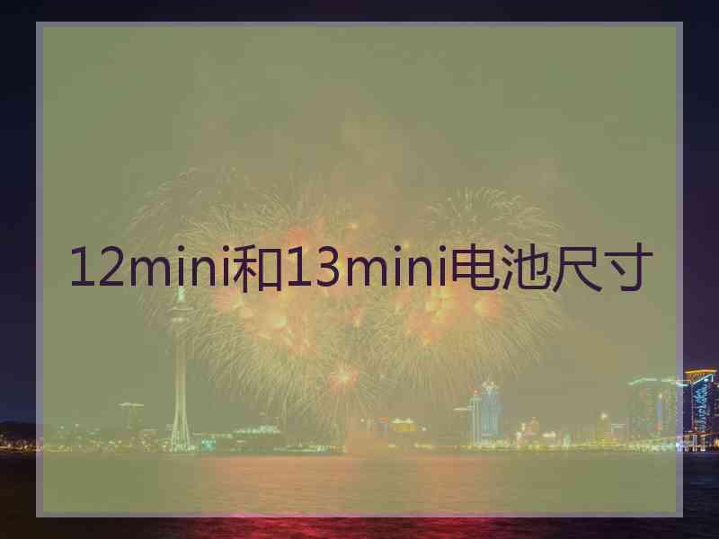 12mini和13mini电池尺寸