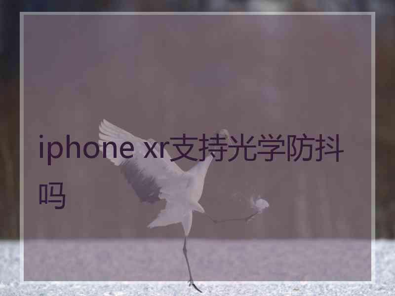 iphone xr支持光学防抖吗