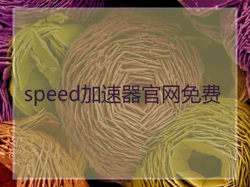 speed加速器官网免费