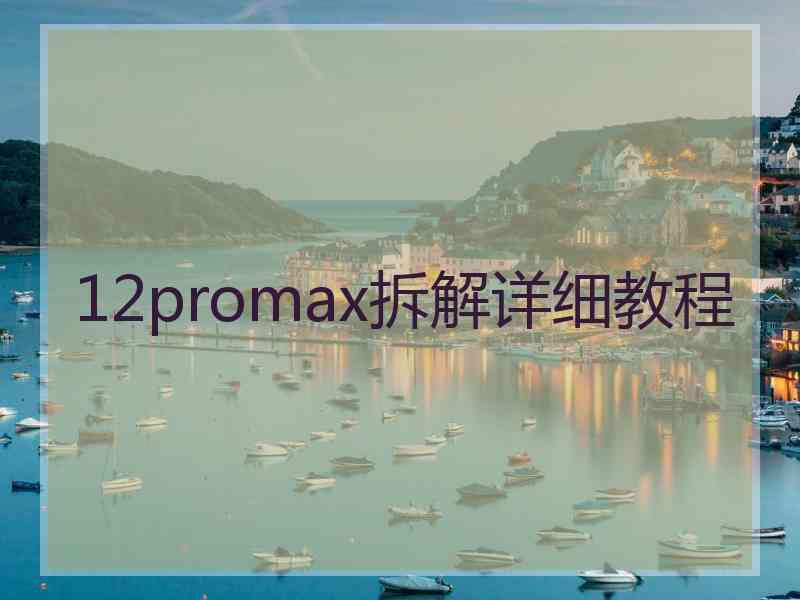 12promax拆解详细教程