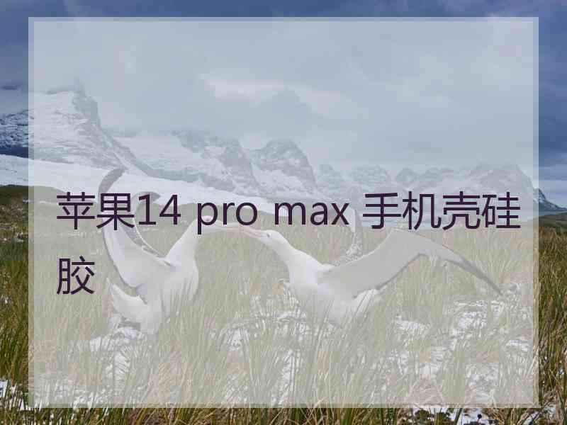 苹果14 pro max 手机壳硅胶