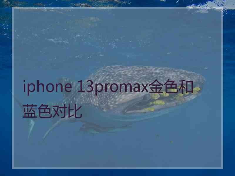 iphone 13promax金色和蓝色对比