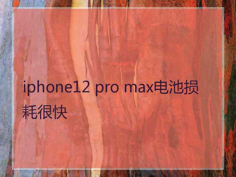 iphone12 pro max电池损耗很快