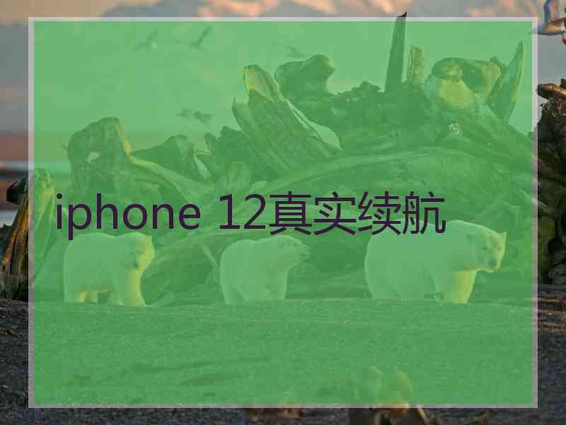 iphone 12真实续航