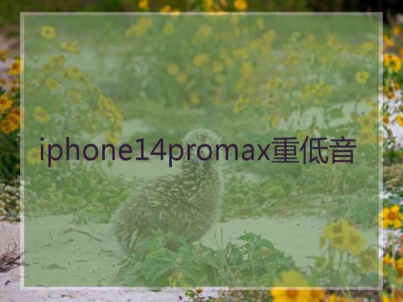 iphone14promax重低音