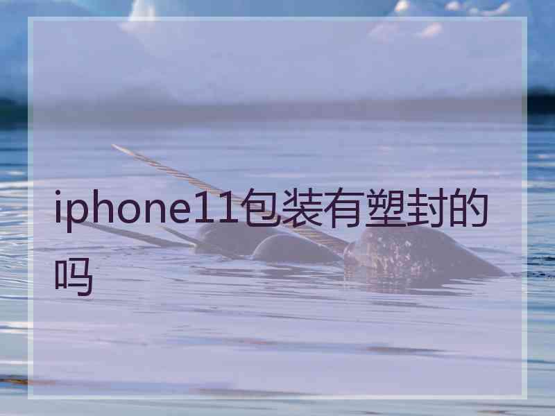 iphone11包装有塑封的吗