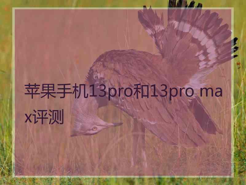 苹果手机13pro和13pro max评测