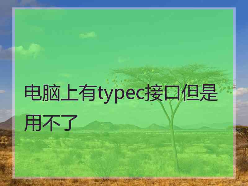 电脑上有typec接口但是用不了