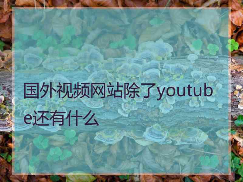 国外视频网站除了youtube还有什么