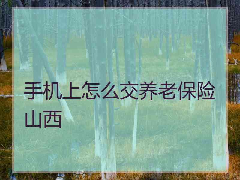 手机上怎么交养老保险山西