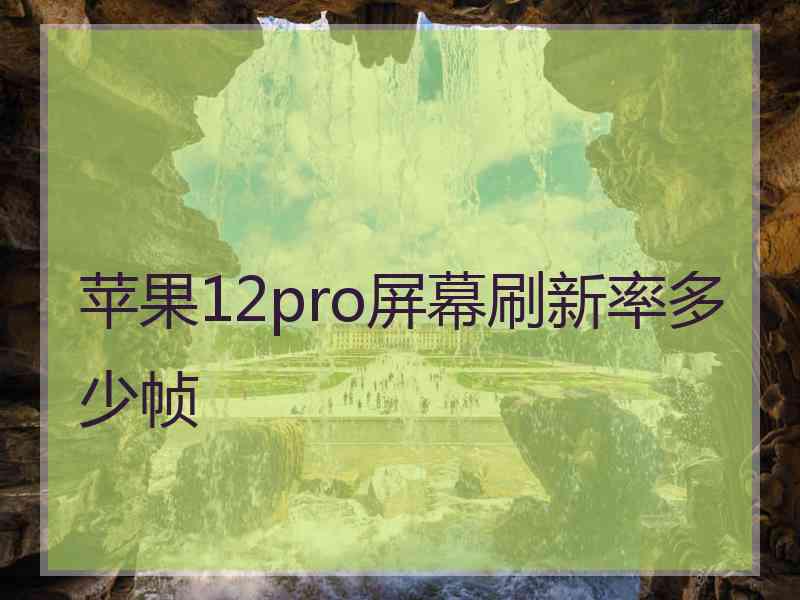 苹果12pro屏幕刷新率多少帧