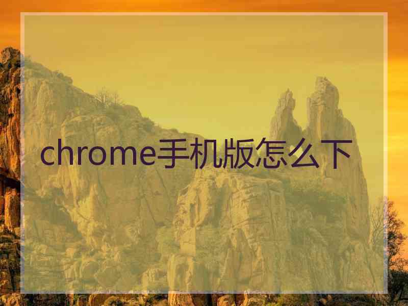 chrome手机版怎么下