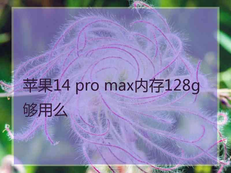 苹果14 pro max内存128g够用么