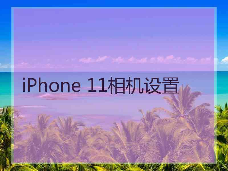 iPhone 11相机设置