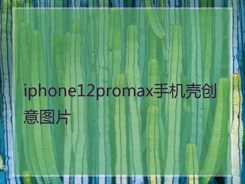 iphone12promax手机壳创意图片