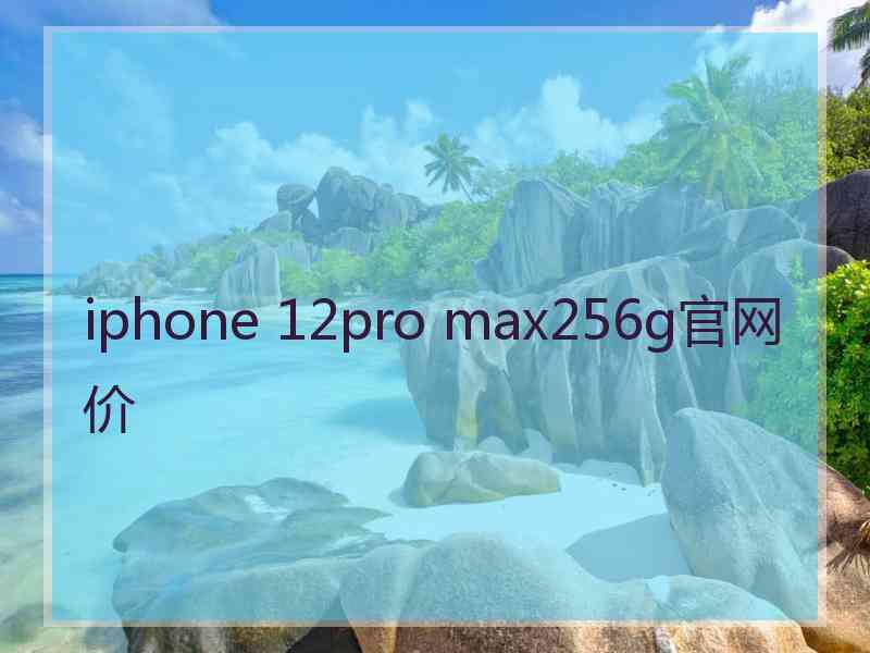 iphone 12pro max256g官网价