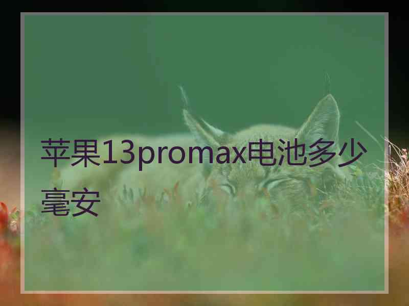 苹果13promax电池多少毫安