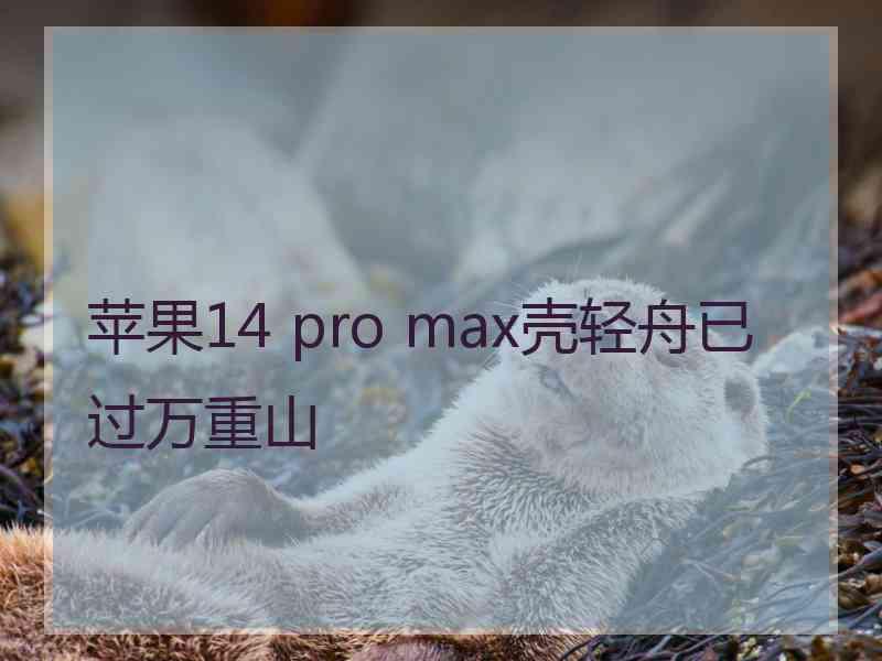 苹果14 pro max壳轻舟已过万重山