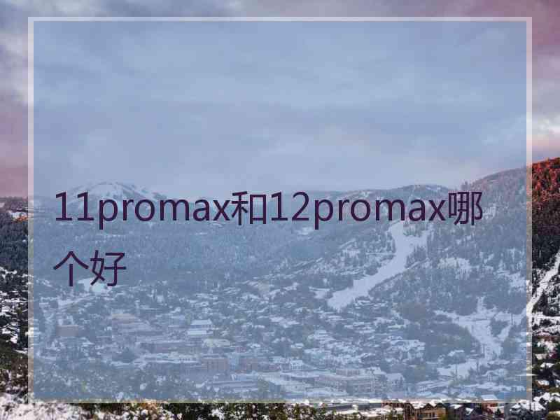 11promax和12promax哪个好