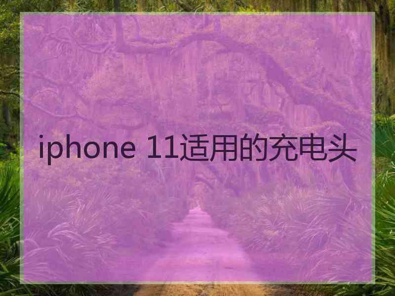 iphone 11适用的充电头