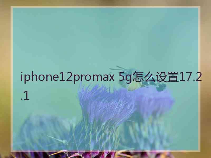 iphone12promax 5g怎么设置17.2.1