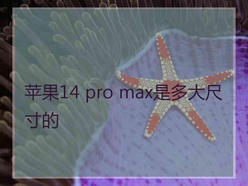 苹果14 pro max是多大尺寸的