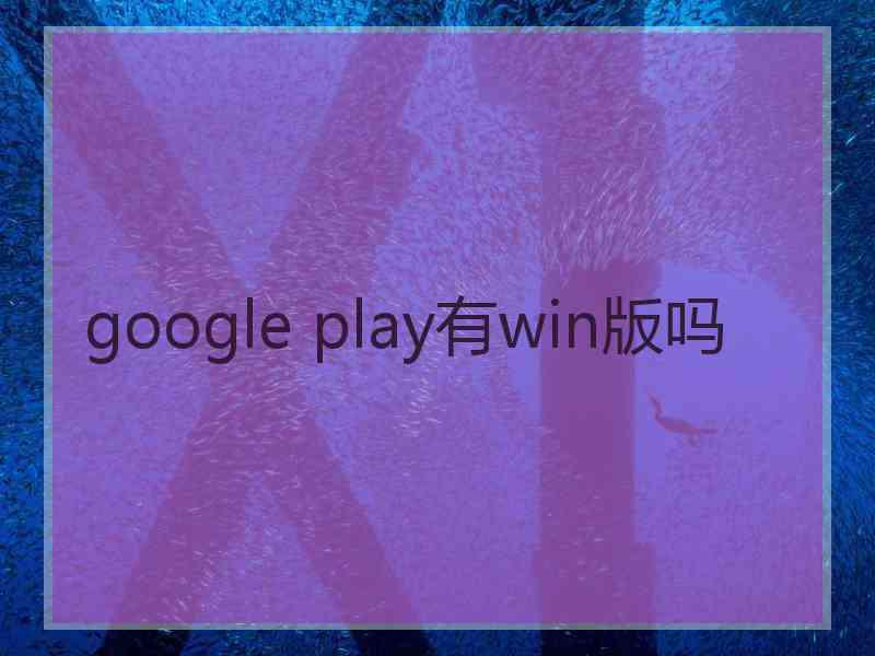 google play有win版吗