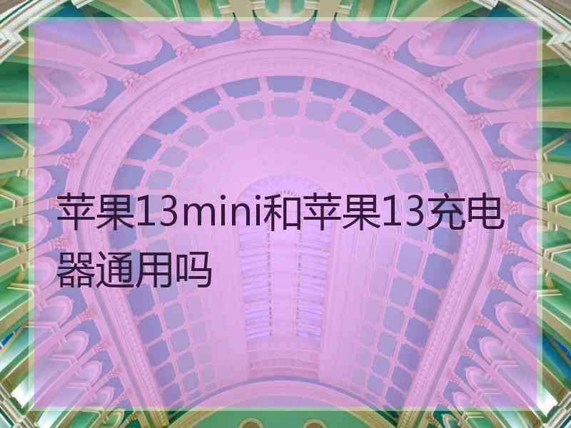 苹果13mini和苹果13充电器通用吗