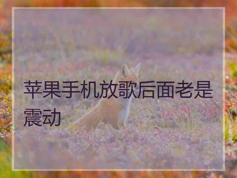 苹果手机放歌后面老是震动