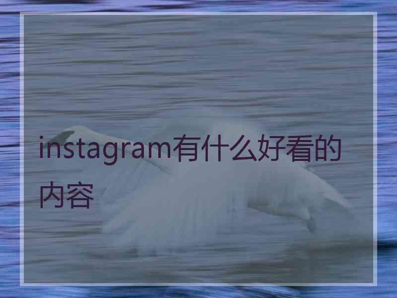 instagram有什么好看的内容