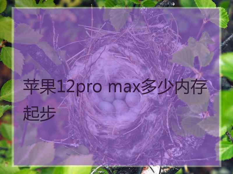 苹果12pro max多少内存起步