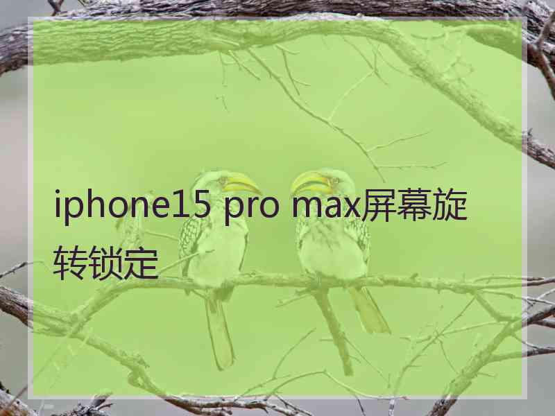 iphone15 pro max屏幕旋转锁定