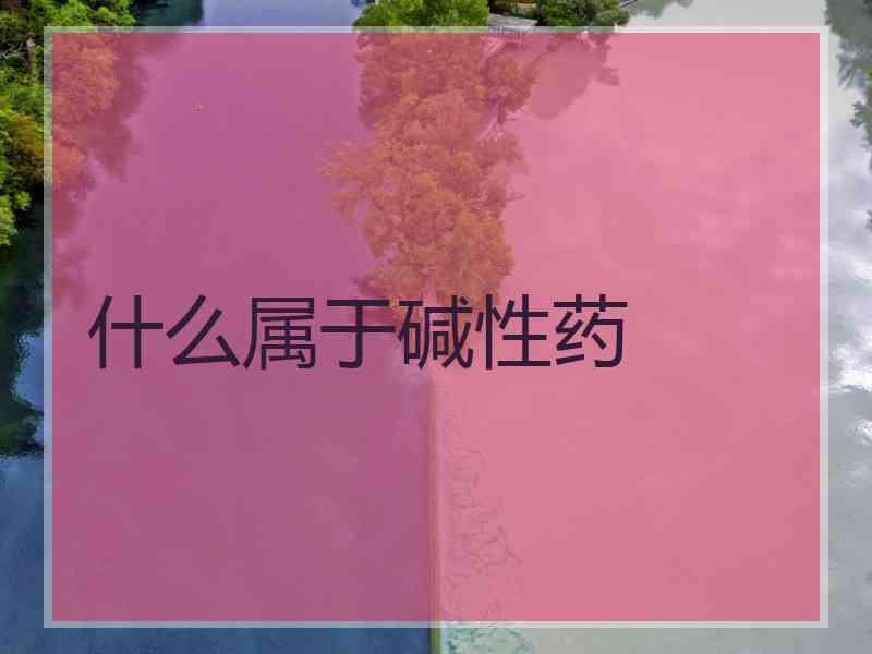 什么属于碱性药