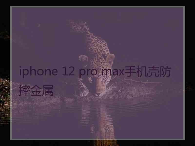 iphone 12 pro max手机壳防摔金属