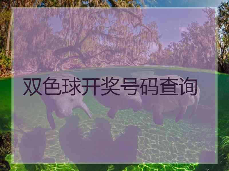 双色球开奖号码查询