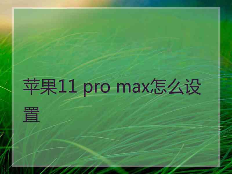 苹果11 pro max怎么设置