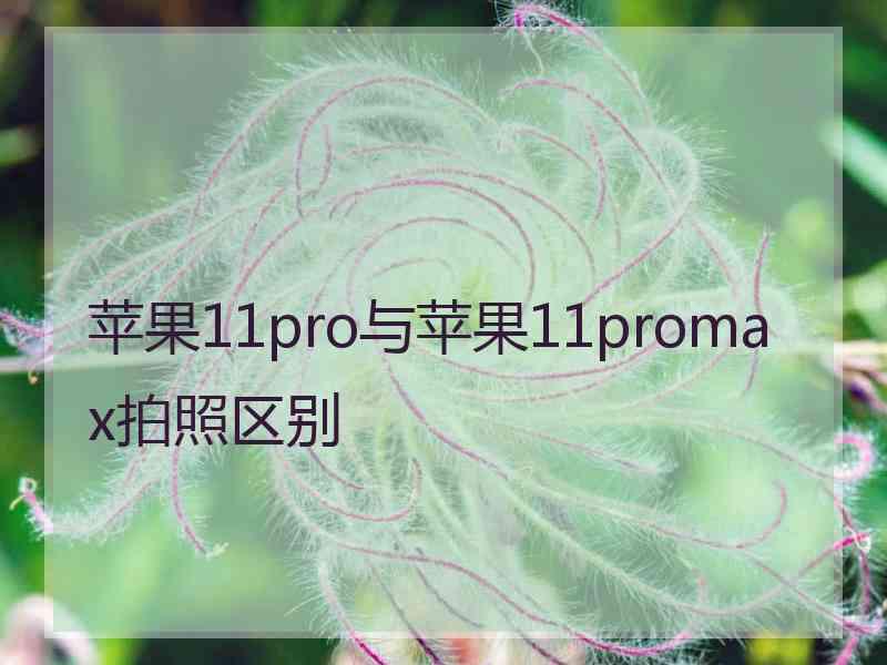 苹果11pro与苹果11promax拍照区别