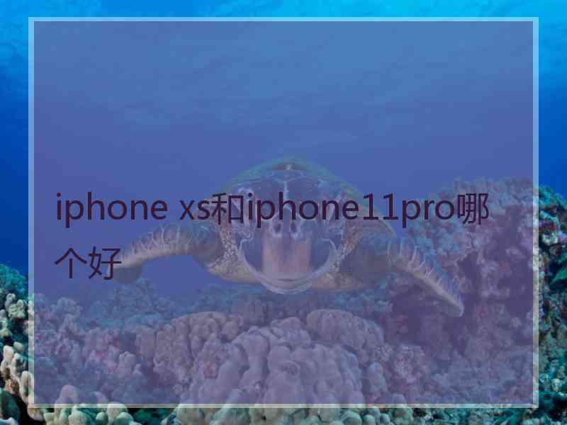 iphone xs和iphone11pro哪个好