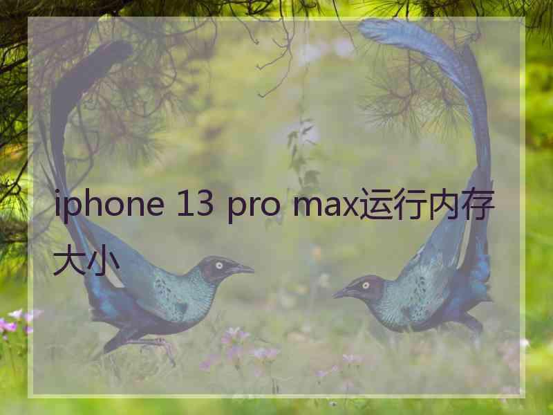 iphone 13 pro max运行内存大小