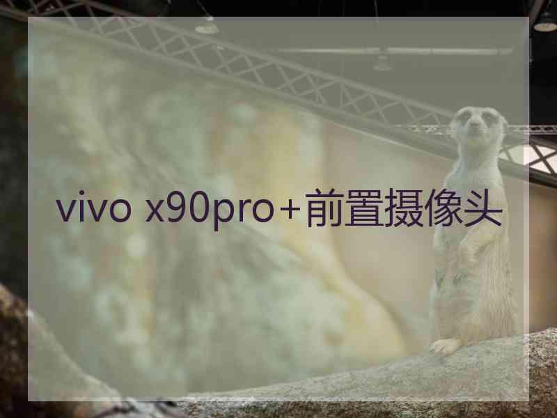 vivo x90pro+前置摄像头