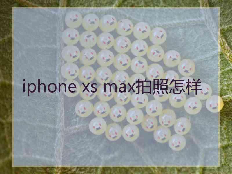 iphone xs max拍照怎样