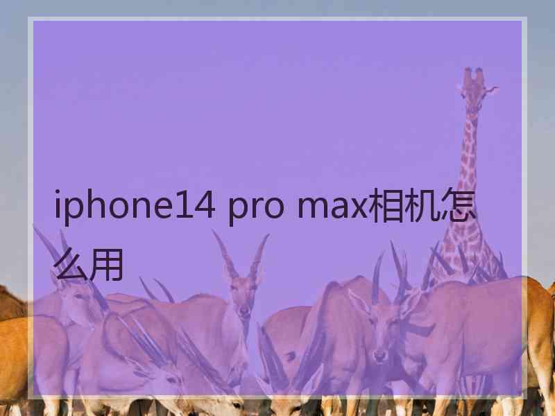 iphone14 pro max相机怎么用