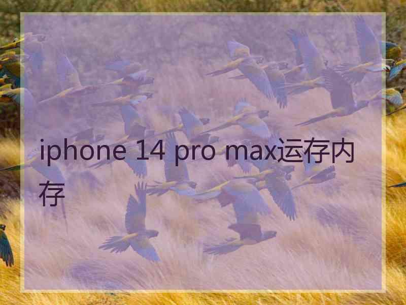 iphone 14 pro max运存内存