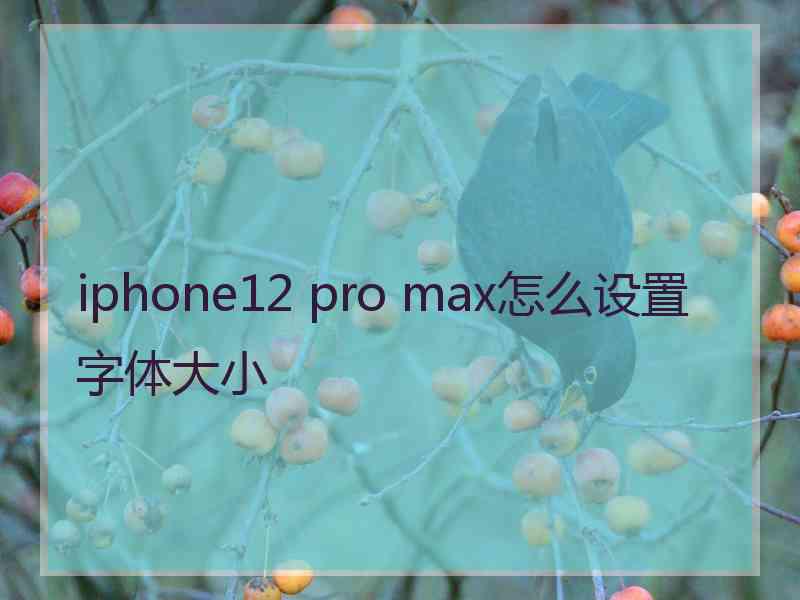 iphone12 pro max怎么设置字体大小